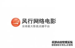 风行为什么下载进度已经很多了还在缓冲
